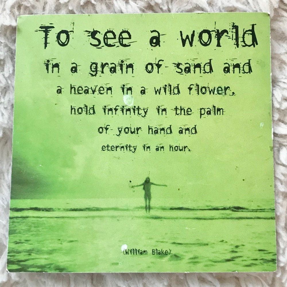 To See A World Poem Magnet